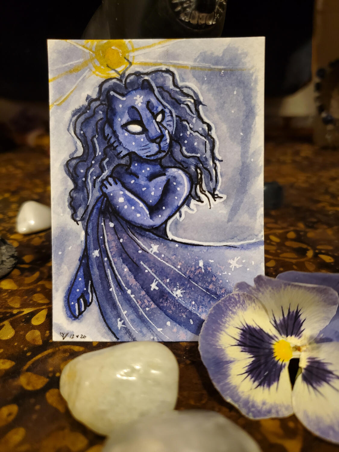 Star Lioness, ACEO Star Lioness, ACEO
